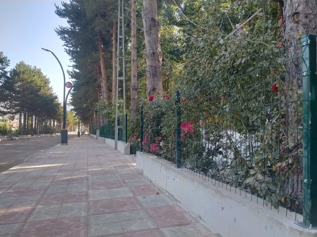 ihsyolcit (2)